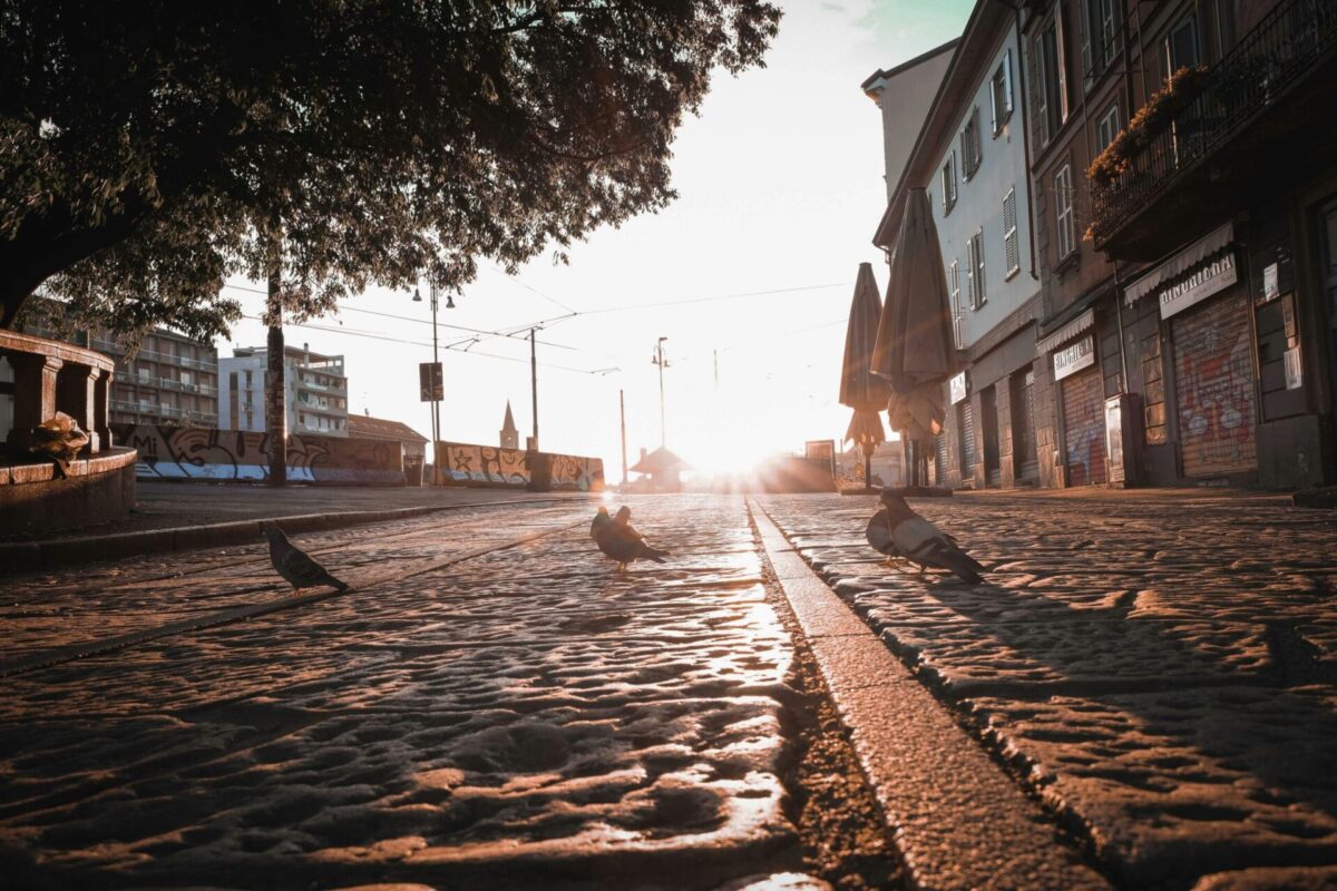 5 Astuces Simples pour Une Journée Zen 5 Astuces Simples pour Une Journée Zen